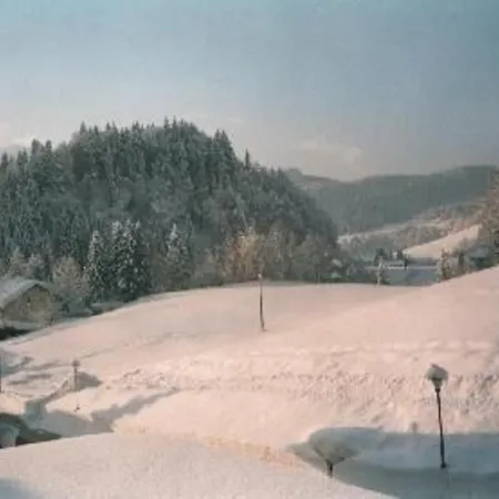Appartement Haus Sport Alpin 9 Oberstdorf